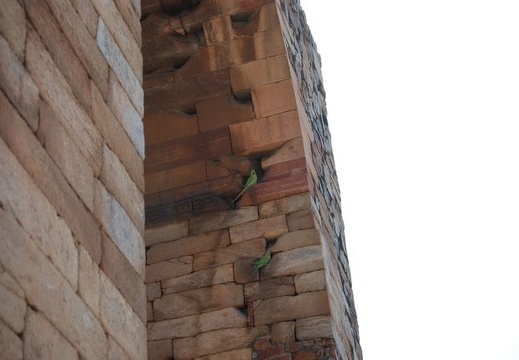 Qutb-Minar 079
