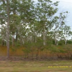 Kakadu NP