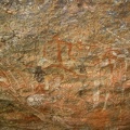 Kakadu NP079
