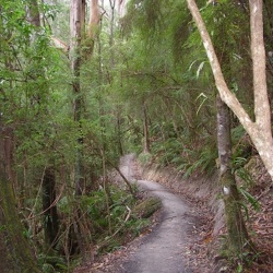 Shelly Beach