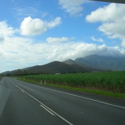 Von Carins nach Brisbane
