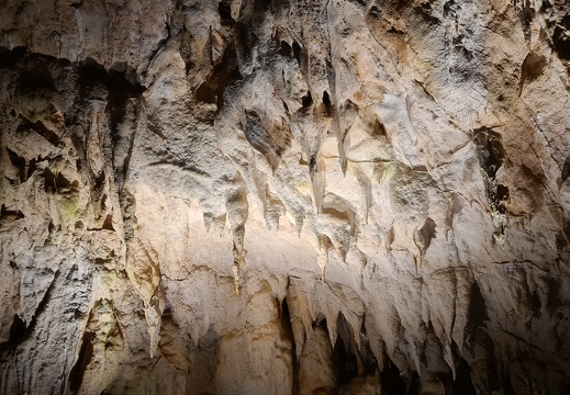 Cerovacke-Spilje Untere Höhle 49
